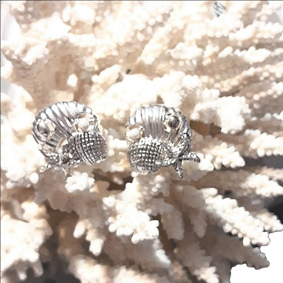 SEASHELLS, STARFISH & a tiny PEARL - Picture 6 of 6